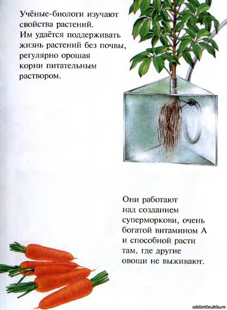 моя первая энциклопедия растения